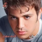 وحياة الحب