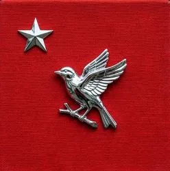 خطر