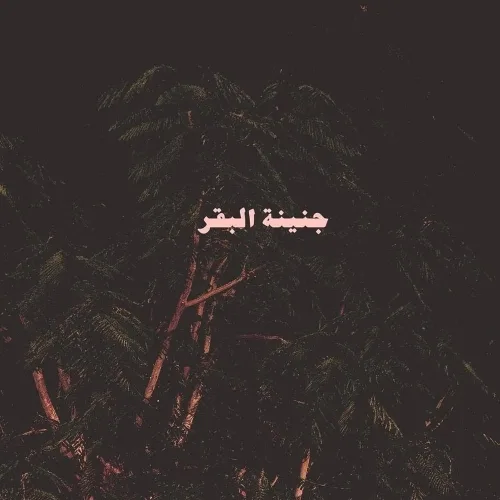 لا توجد اشارة