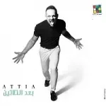 المصرية