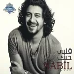 يخرب بيتك