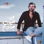 الزير