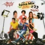 كشكولى