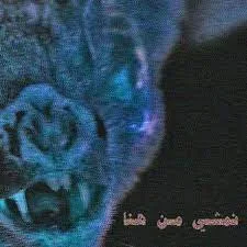 يا ريم استني